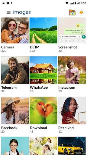 Images gallery organized by source folders: Camera, DCIM, Screenshot, Telegram, WhatsApp, Instagram, Facebook, Download, and Received with thumbnail previews