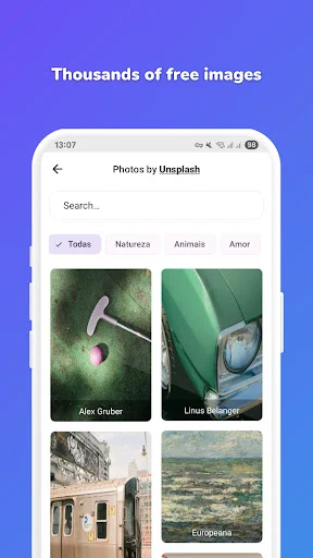 Free stock photo integration showing Unsplash image gallery with search bar and category filters including todos, nature, animals, and love-themed images