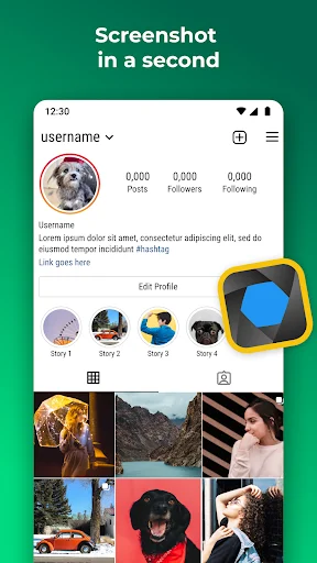 One-touch screenshot capture of social media profile with photo grid, displaying user stats, stories, and content gallery