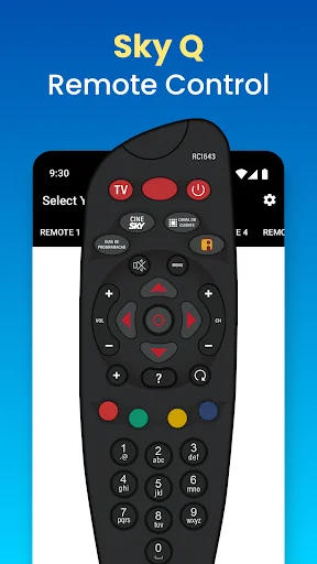 Sky Q Remote Control interface showing remote with colored buttons, navigation pad, numeric keypad and power controls for TV management
