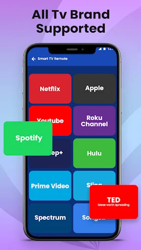 Phone screen displaying all supported TV brands and streaming apps including Netflix, Apple, YouTube, Roku, Spotify, Disney+, Hulu, Prime Video with colorful app icons for universal smart TV remote control