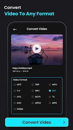 Video format converter supporting MP4, AVI, MOV, FLV, MTS, WEBM, MPEG, MZTS, TS, MEV, 30P, and more export formats