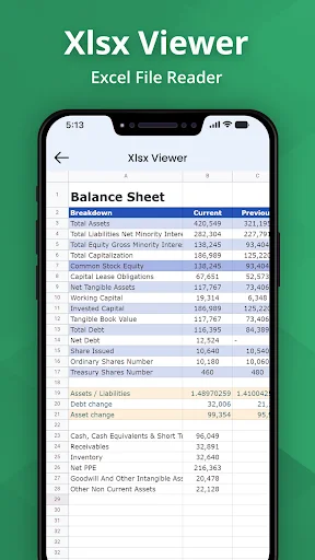 Xlsx Viewer displaying Balance Sheet spreadsheet with financial data including Total Assets, Liabilities, and accounting entries