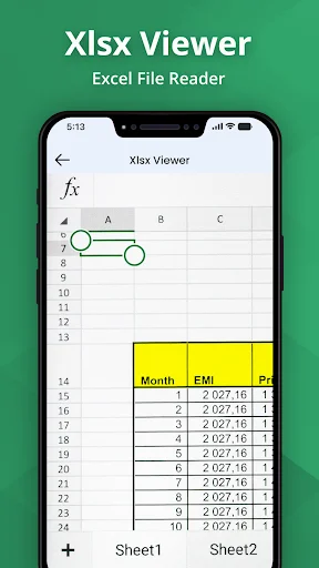 Xlsx Viewer showing spreadsheet with formula bar, selected cells, data table containing Month, EMI, and Principal columns with values